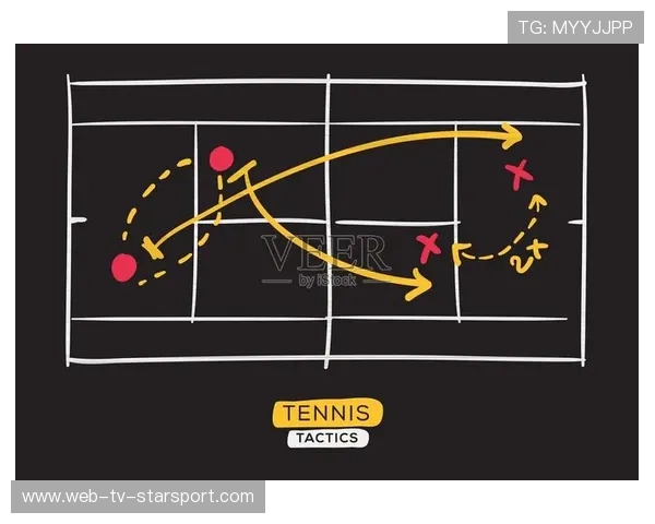 网球比赛战术板数字化应用方法研究 网球比赛战术板数字化应用方法研究